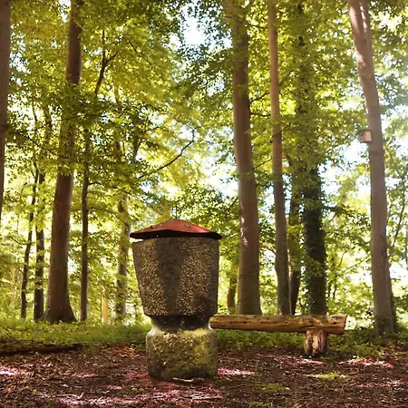 Apartament Wassermuehle Stenten