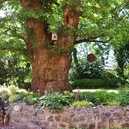 Apartament Wassermuehle Stenten *